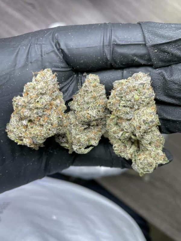 Amnesia Haze