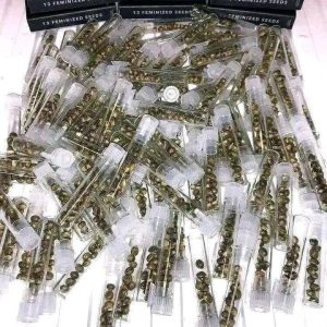 fem seeds
