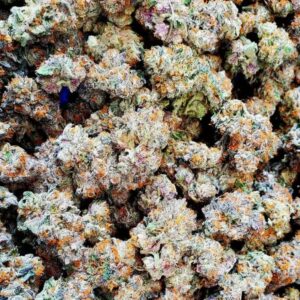 Gelato 41
